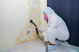 Mold Removal for HVAC Installations in Pecan Grove, TX